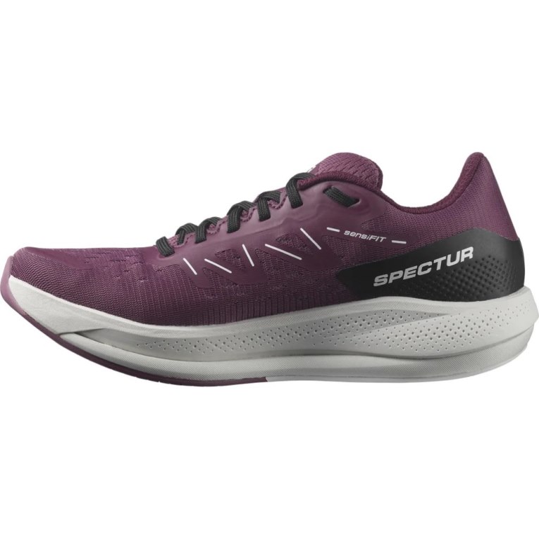 Purple Salomon Spectur Women's Running Shoes | IE EG2154